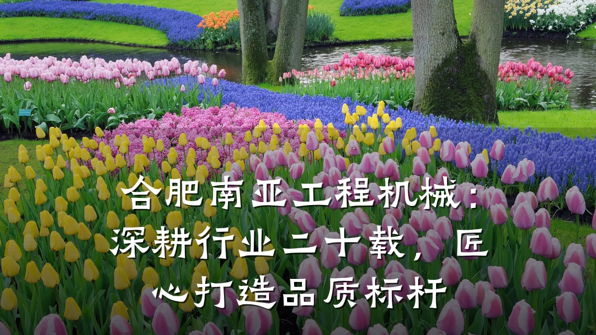 合肥南亚工程机械:深耕行业二十载,匠心打造品质标杆