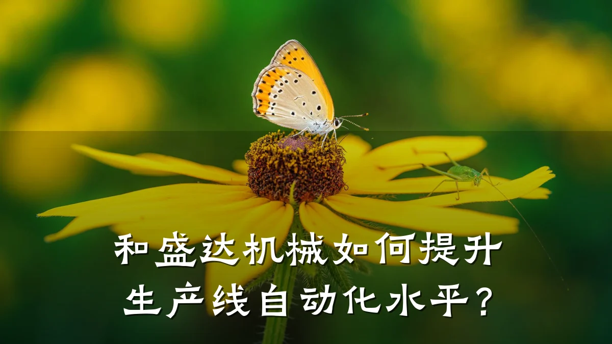 和盛达机械如何提升生产线自动化水平?