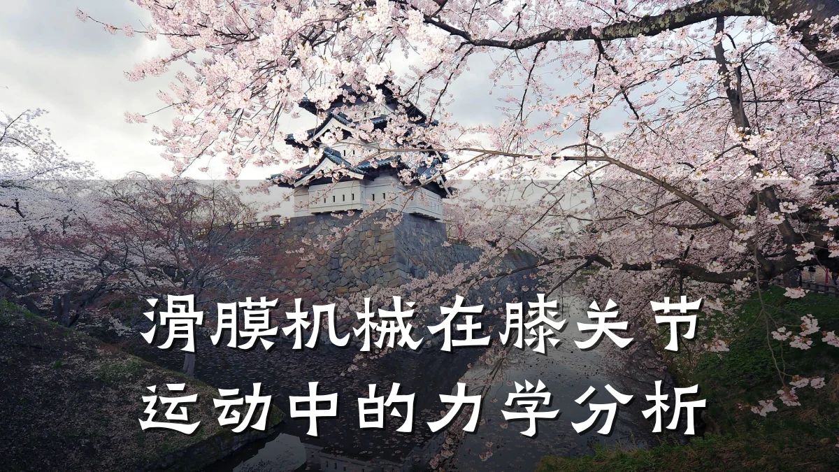 滑膜机械在膝关节运动中的力学分析