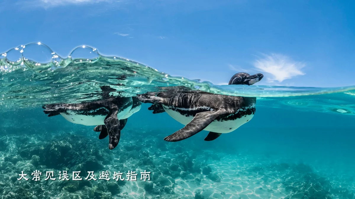 大常见误区及避坑指南