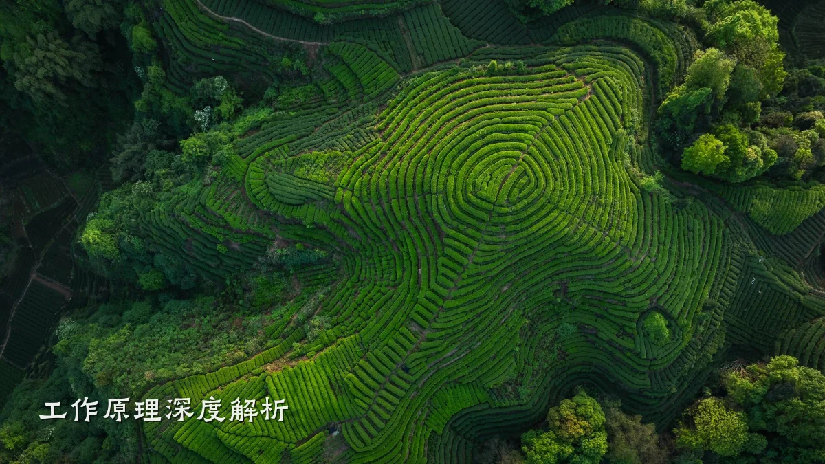 工作原理深度解析