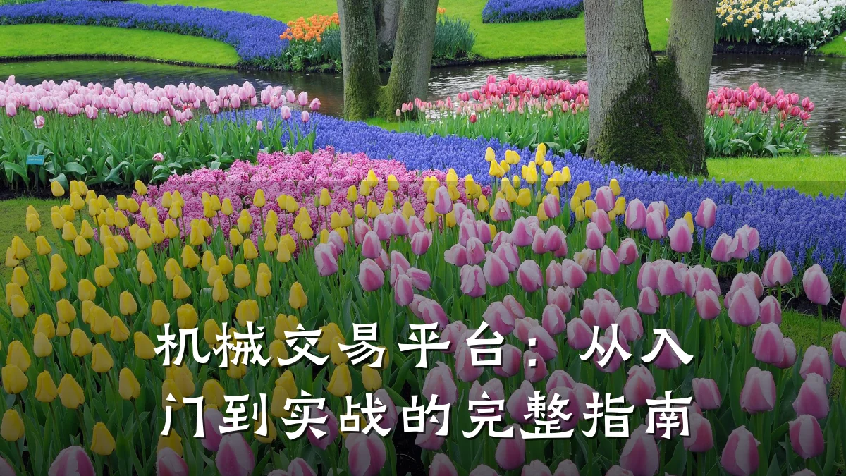 机械交易平台:从入门到实战的完整指南