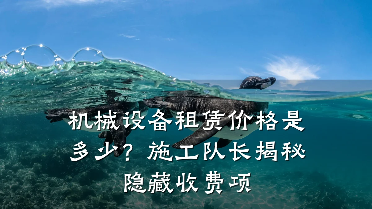 机械设备租赁价格是多少?施工队长揭秘隐藏收费项
