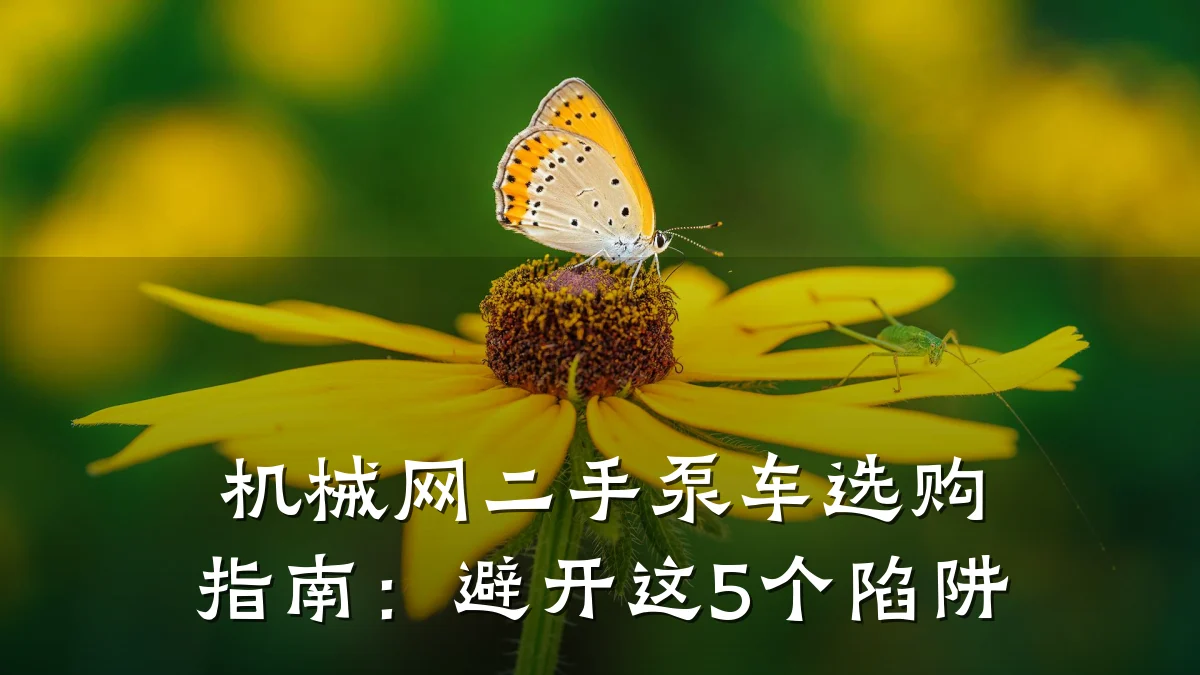 机械网二手泵车选购指南:避开这5个陷阱