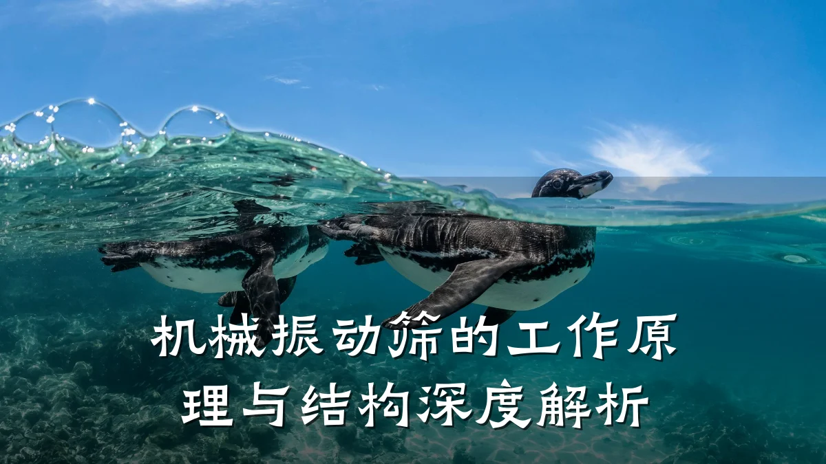 机械振动筛的工作原理与结构深度解析