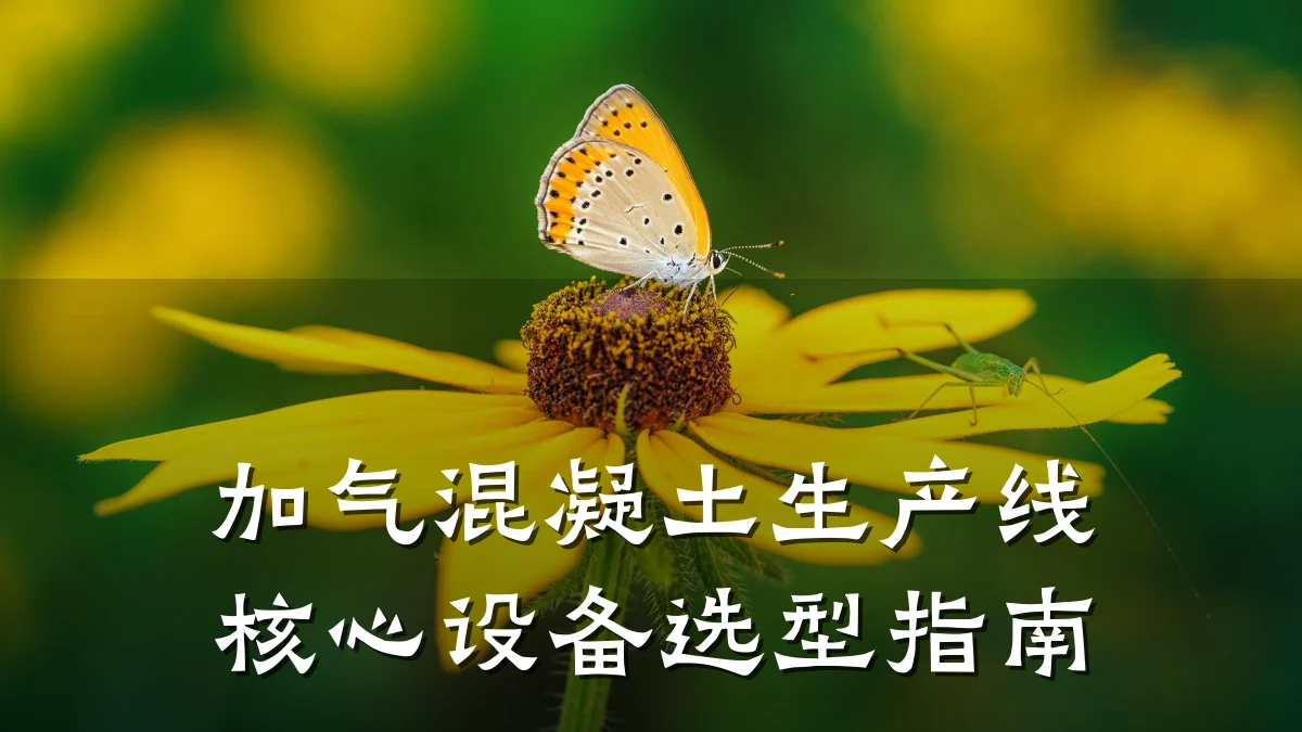加气混凝土生产线核心设备选型指南