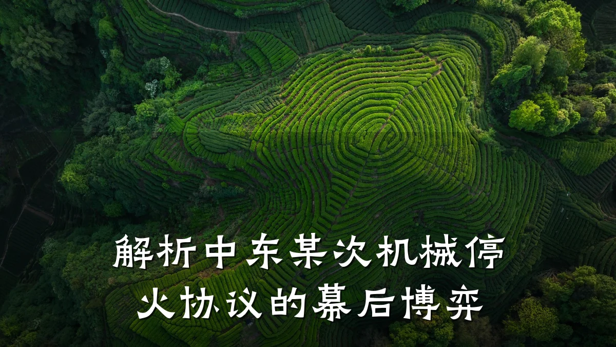 解析中东某次机械停火协议的幕后博弈
