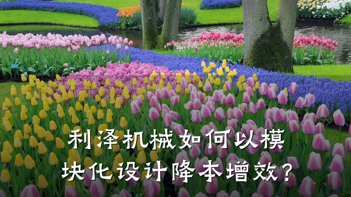 利泽机械如何以模块化设计降本增效?