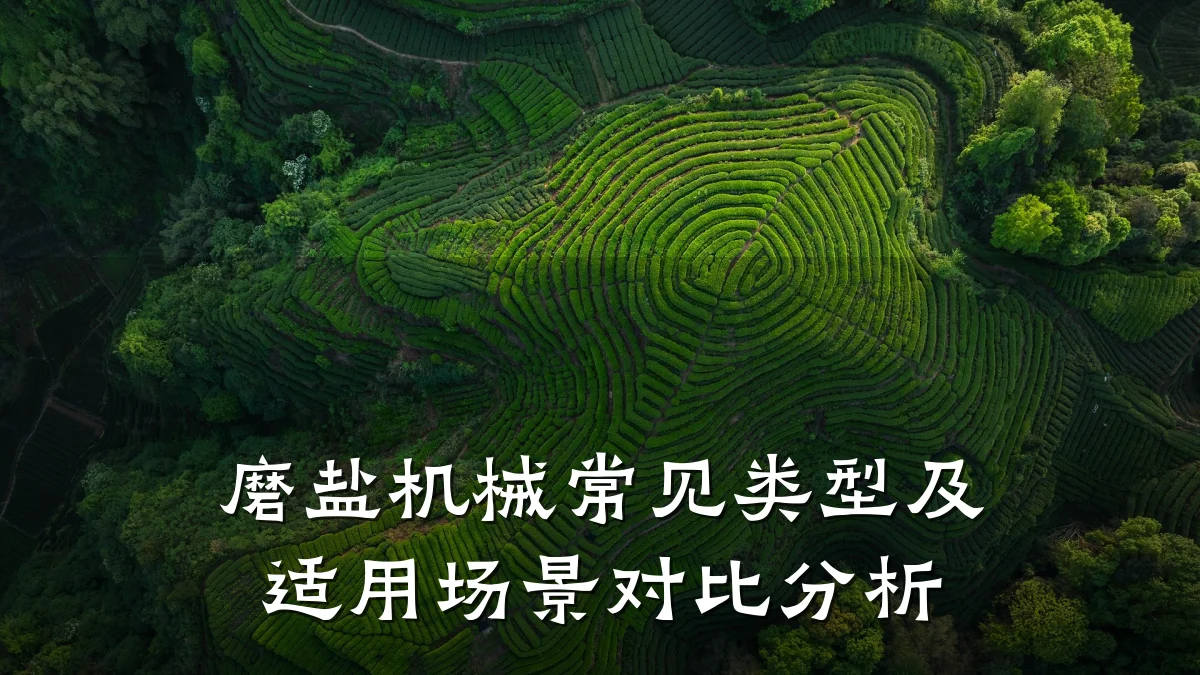 磨盐机械常见类型及适用场景对比分析