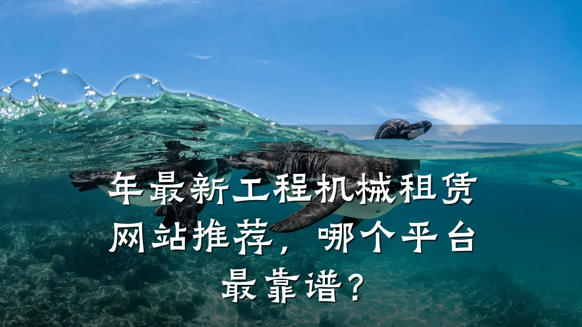 年最新工程机械租赁网站推荐,哪个平台最靠谱?