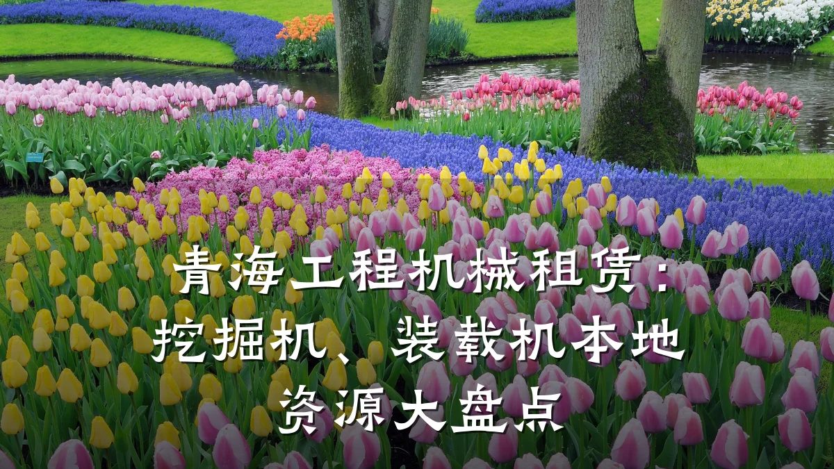 青海工程机械租赁:挖掘机、装载机本地资源大盘点