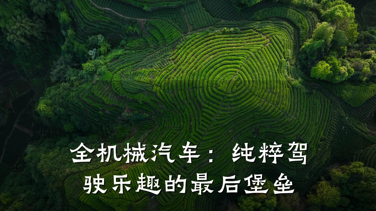 全机械汽车：纯粹驾驶乐趣的最后堡垒