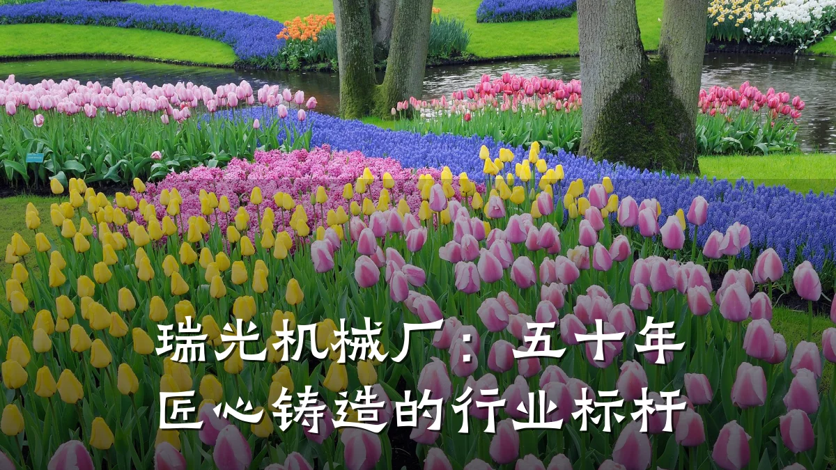 瑞光机械厂:五十年匠心铸造的行业标杆