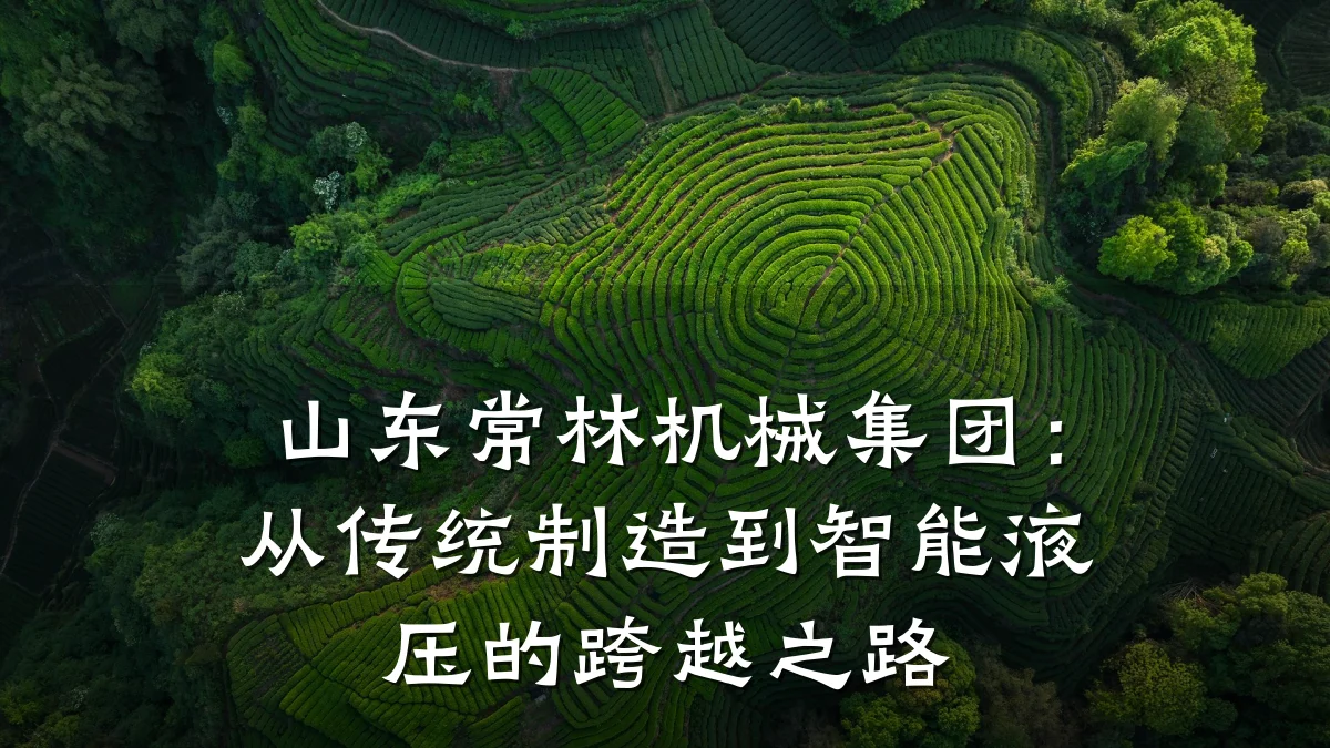 山东常林机械集团:从传统制造到智能液压的跨越之路