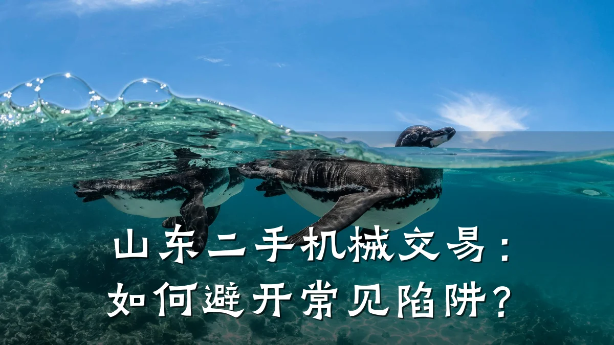 山东二手机械交易:如何避开常见陷阱?