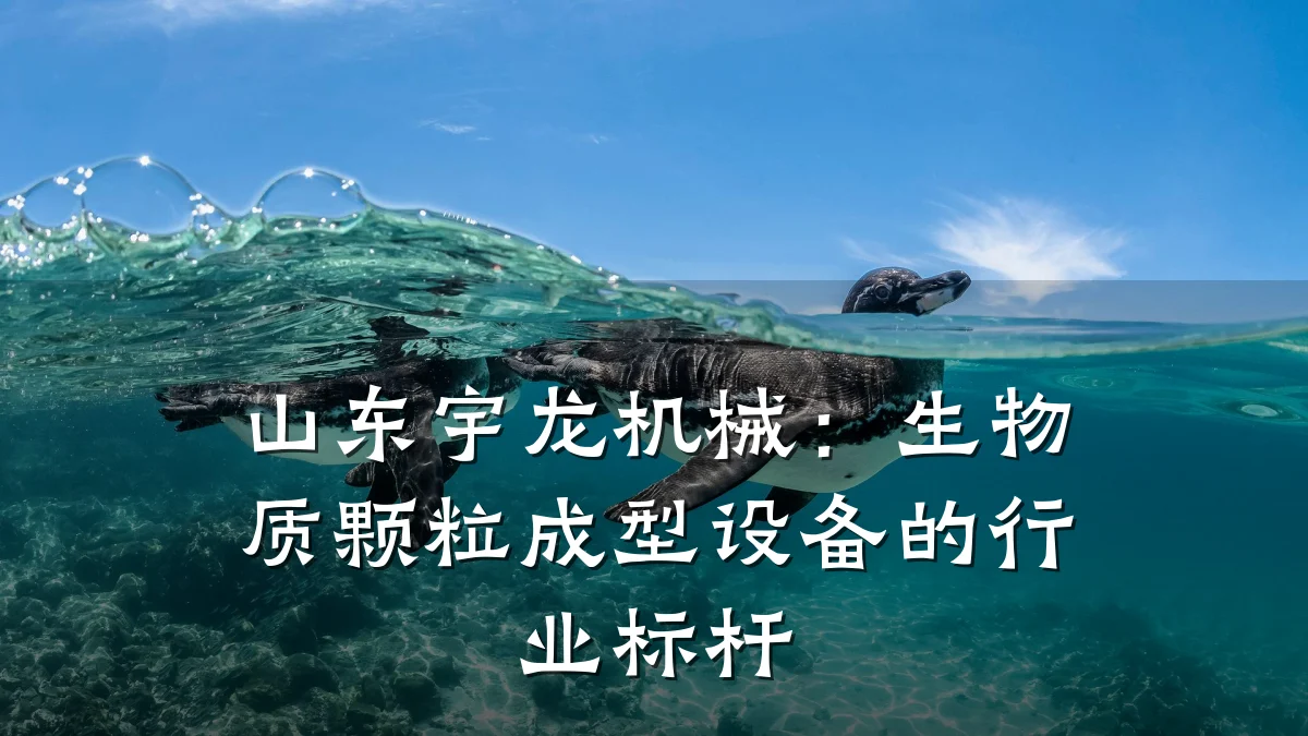 山东宇龙机械:生物质颗粒成型设备的行业标杆