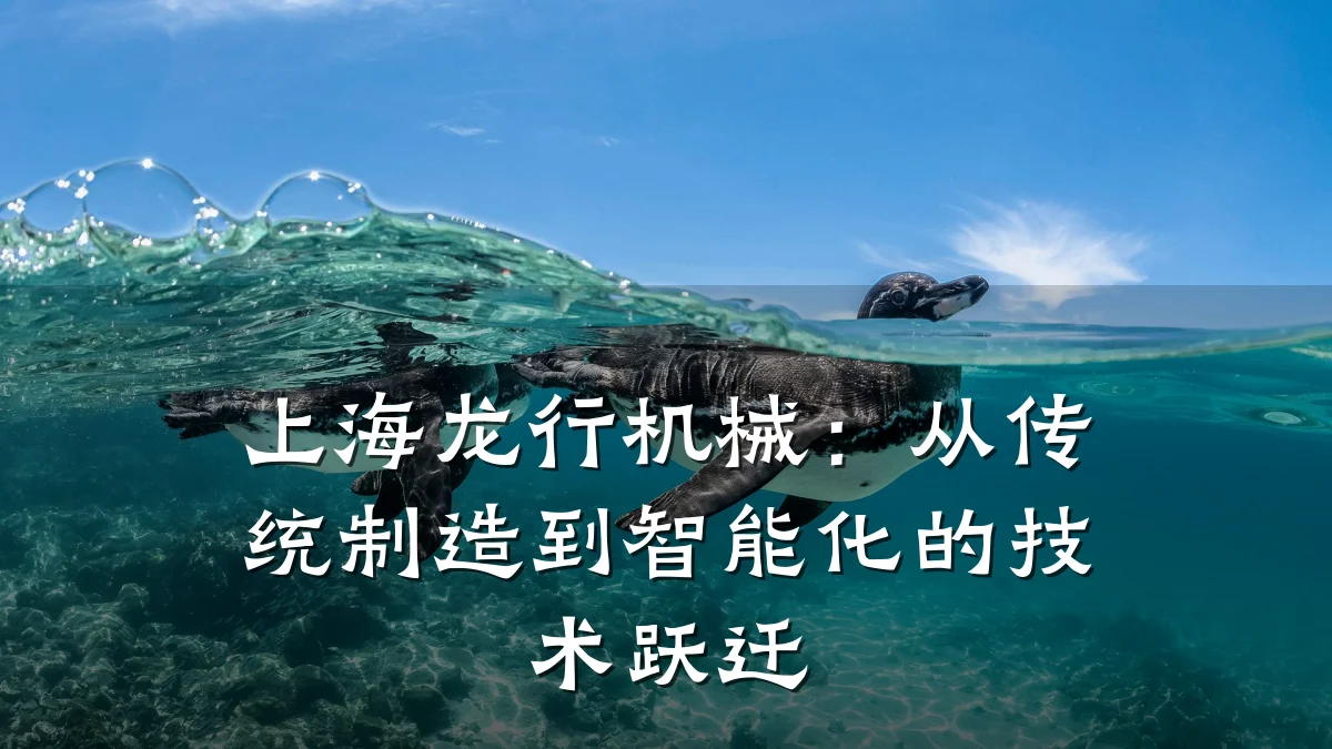 上海龙行机械：从传统制造到智能化的技术跃迁