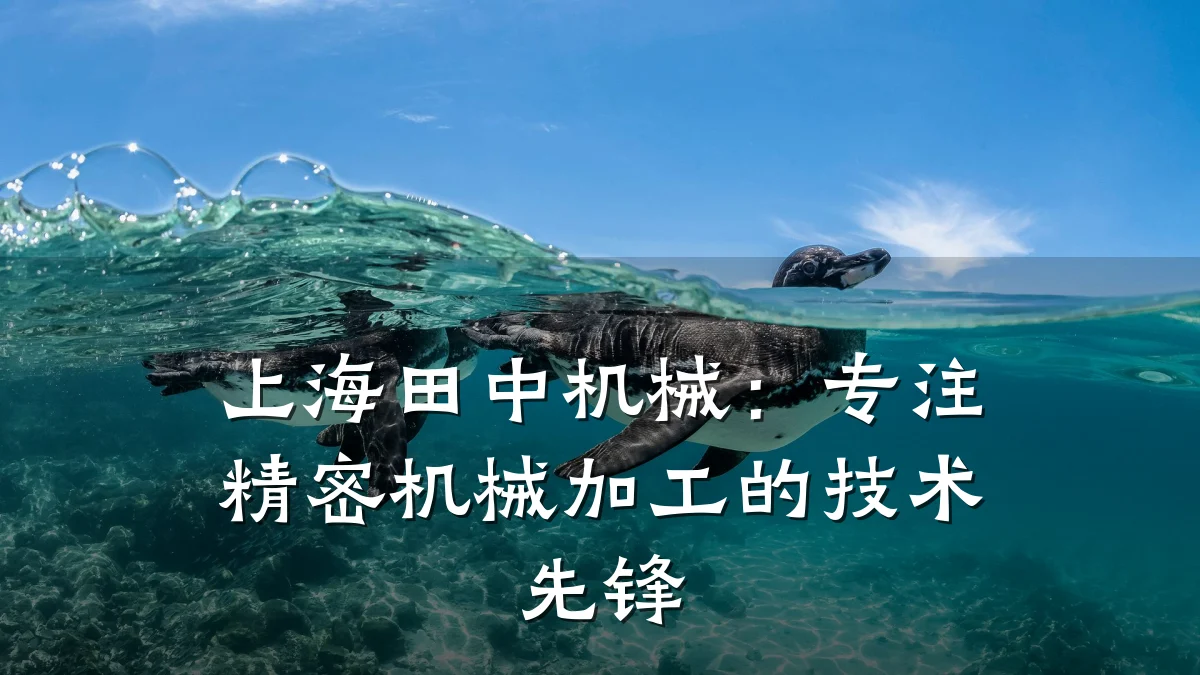 上海田中机械:专注精密机械加工的技术先锋