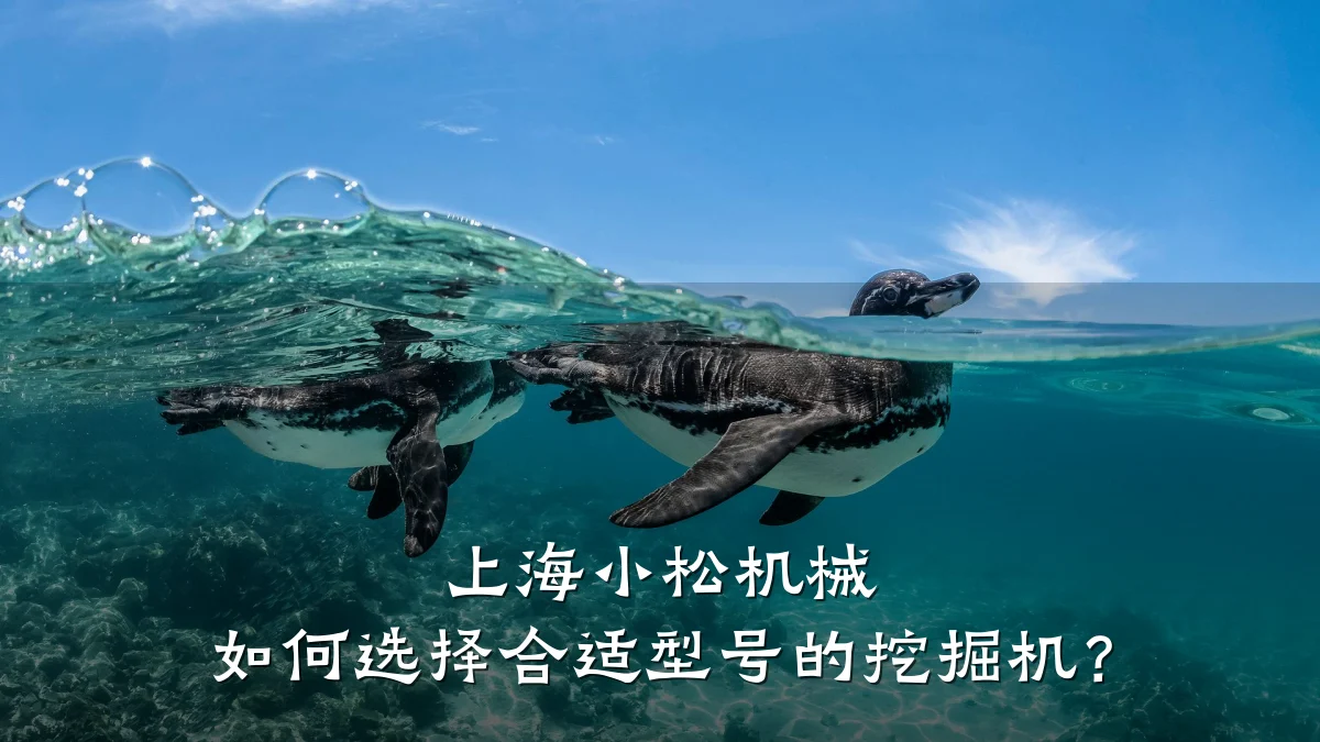 上海小松机械 如何选择合适型号的挖掘机?