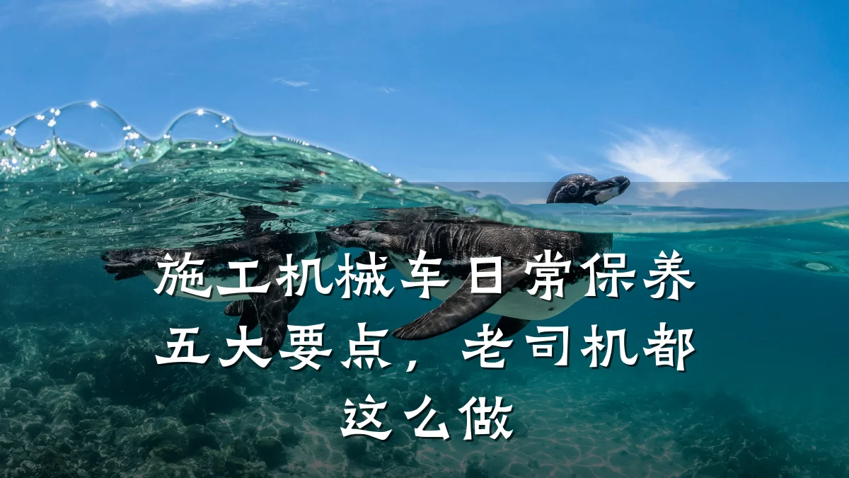 施工机械车日常保养五大要点，老司机都这么做