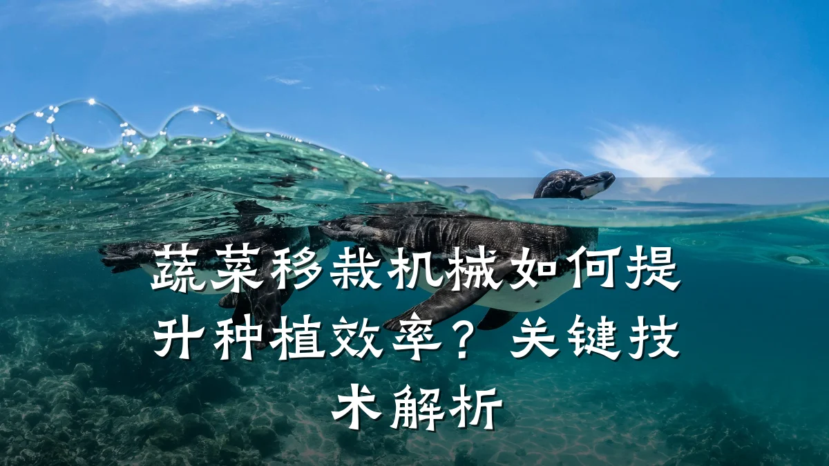 蔬菜移栽机械如何提升种植效率?关键技术解析