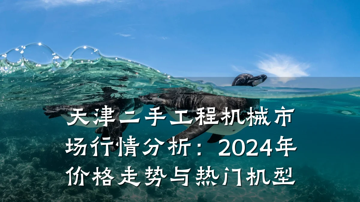 天津二手工程机械市场行情分析:2024年价格走势与热门机型