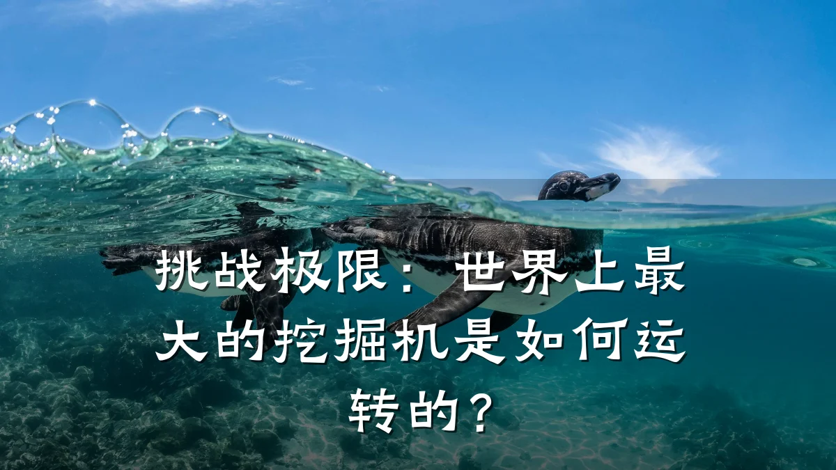 挑战极限:世界上最大的挖掘机是如何运转的?
