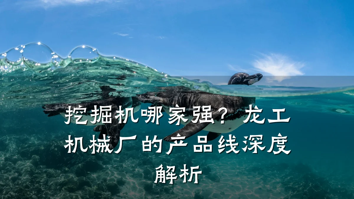 挖掘机哪家强?龙工机械厂的产品线深度解析
