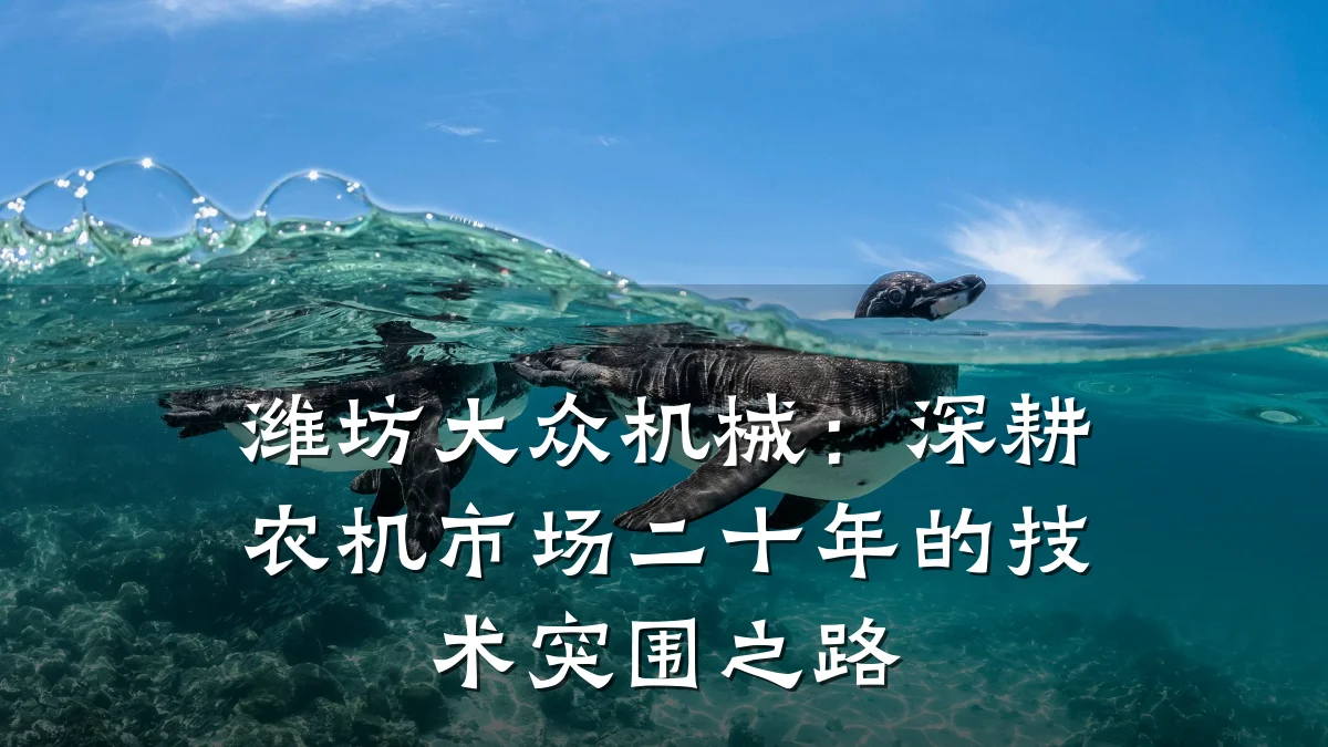 潍坊大众机械:深耕农机市场二十年的技术突围之路