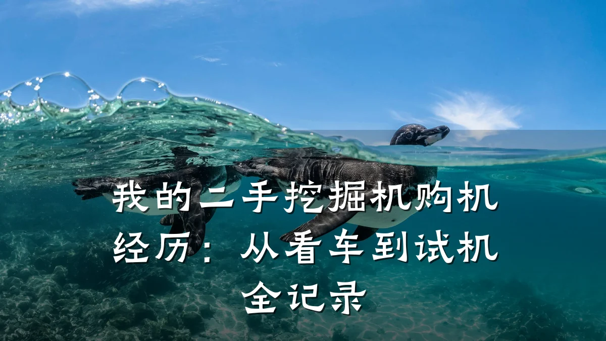 我的二手挖掘机购机经历：从看车到试机全记录