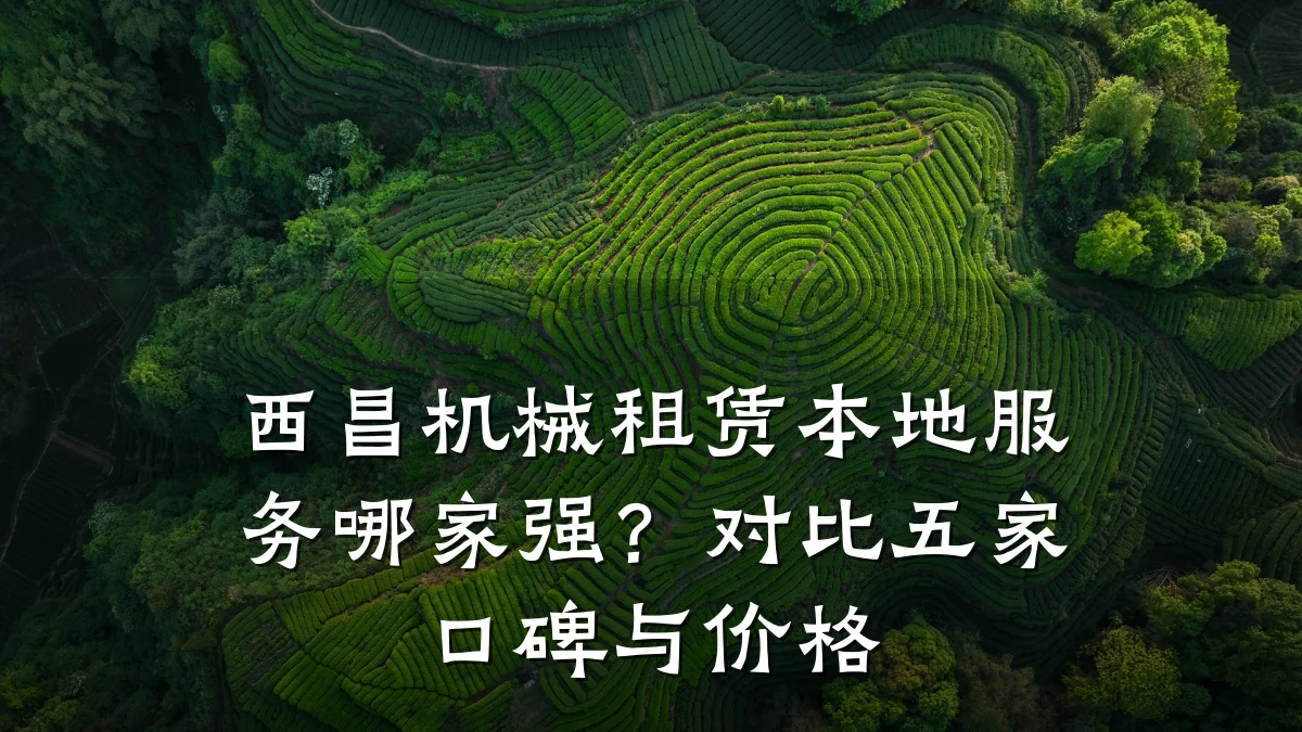 西昌机械租赁本地服务哪家强?对比五家口碑与价格