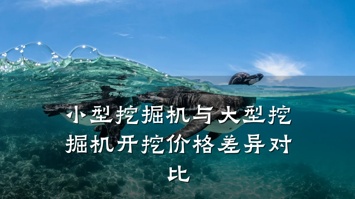 小型挖掘机与大型挖掘机开挖价格差异对比