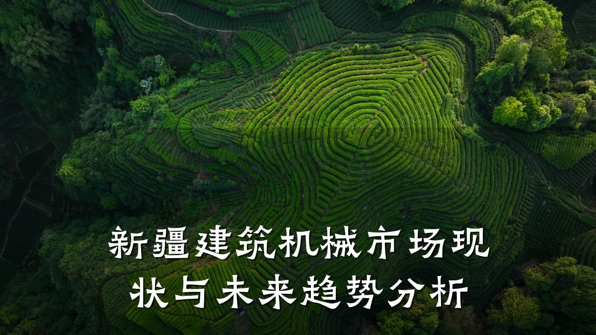 新疆建筑机械市场现状与未来趋势分析