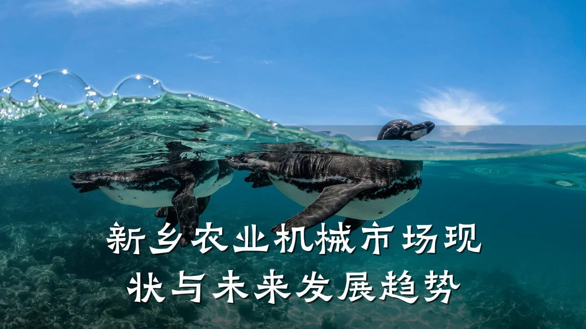 新乡农业机械市场现状与未来发展趋势