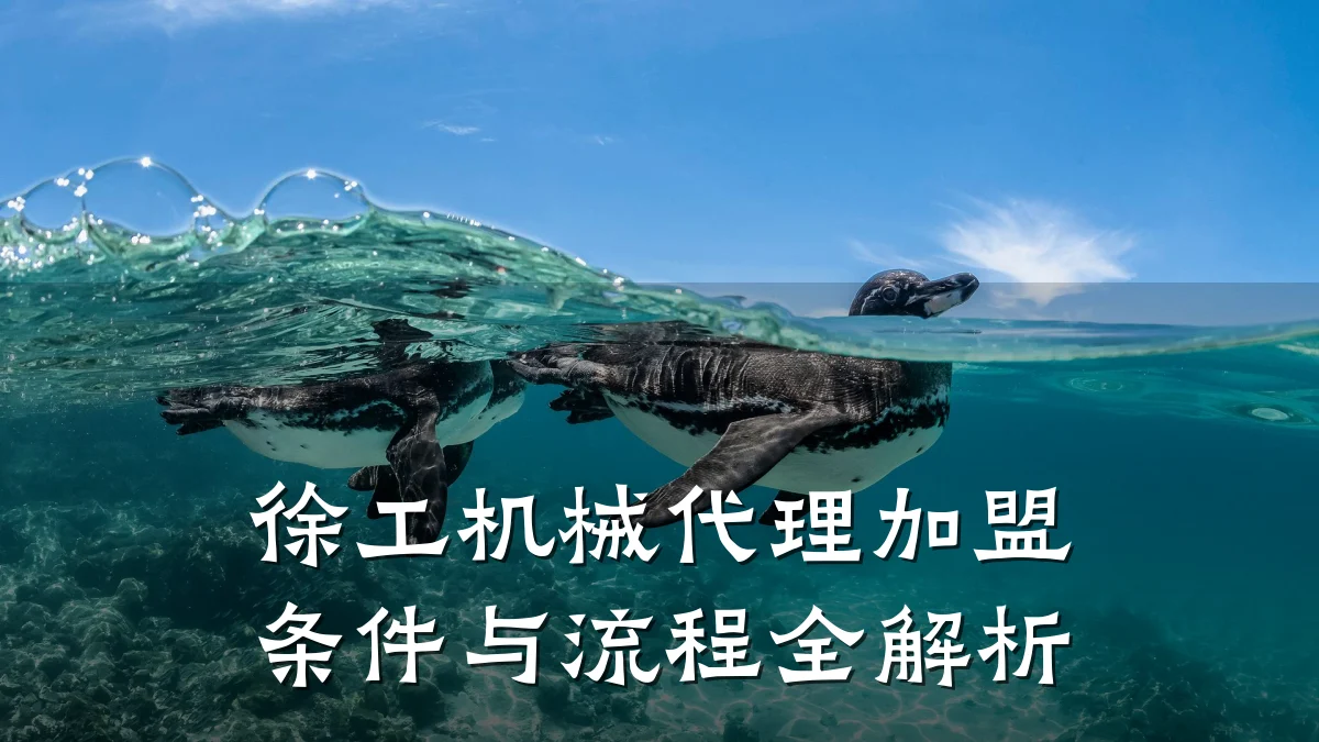 徐工机械代理加盟条件与流程全解析