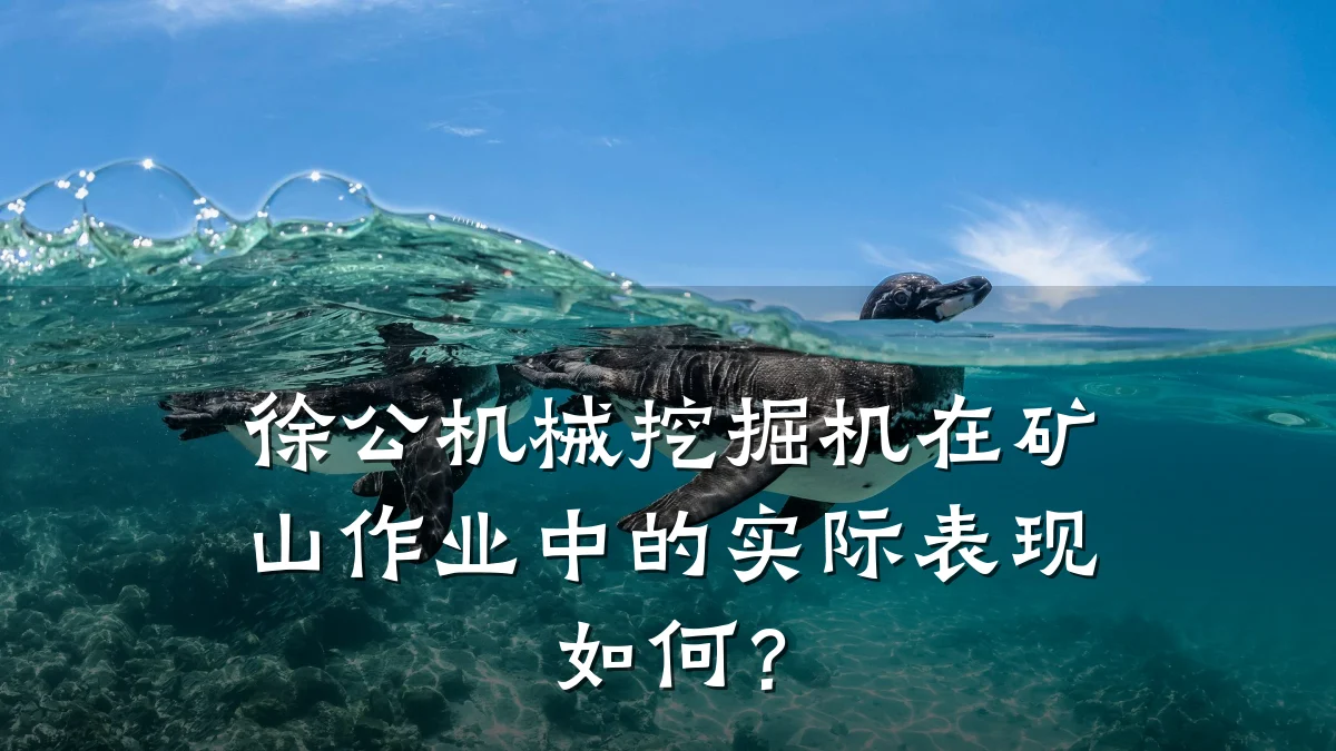徐公机械挖掘机在矿山作业中的实际表现如何?
