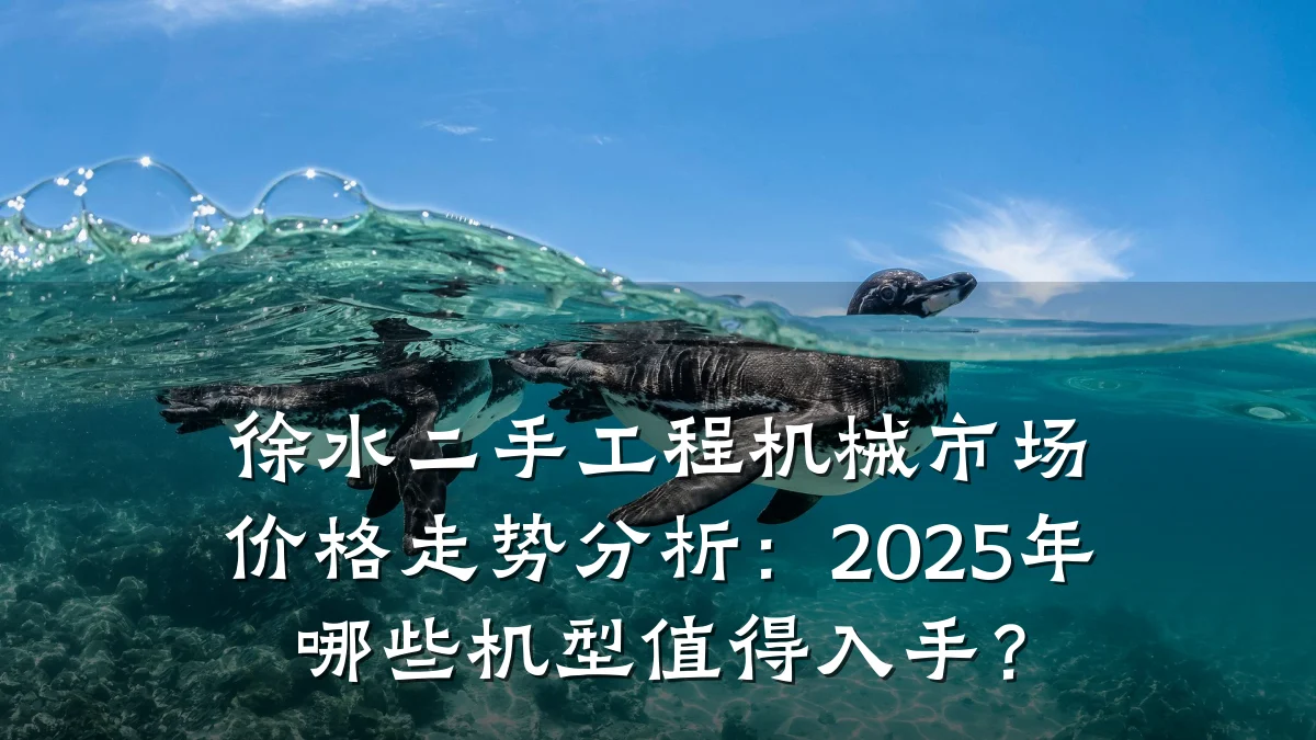 徐水二手工程机械市场价格走势分析:2025年哪些机型值得入手?
