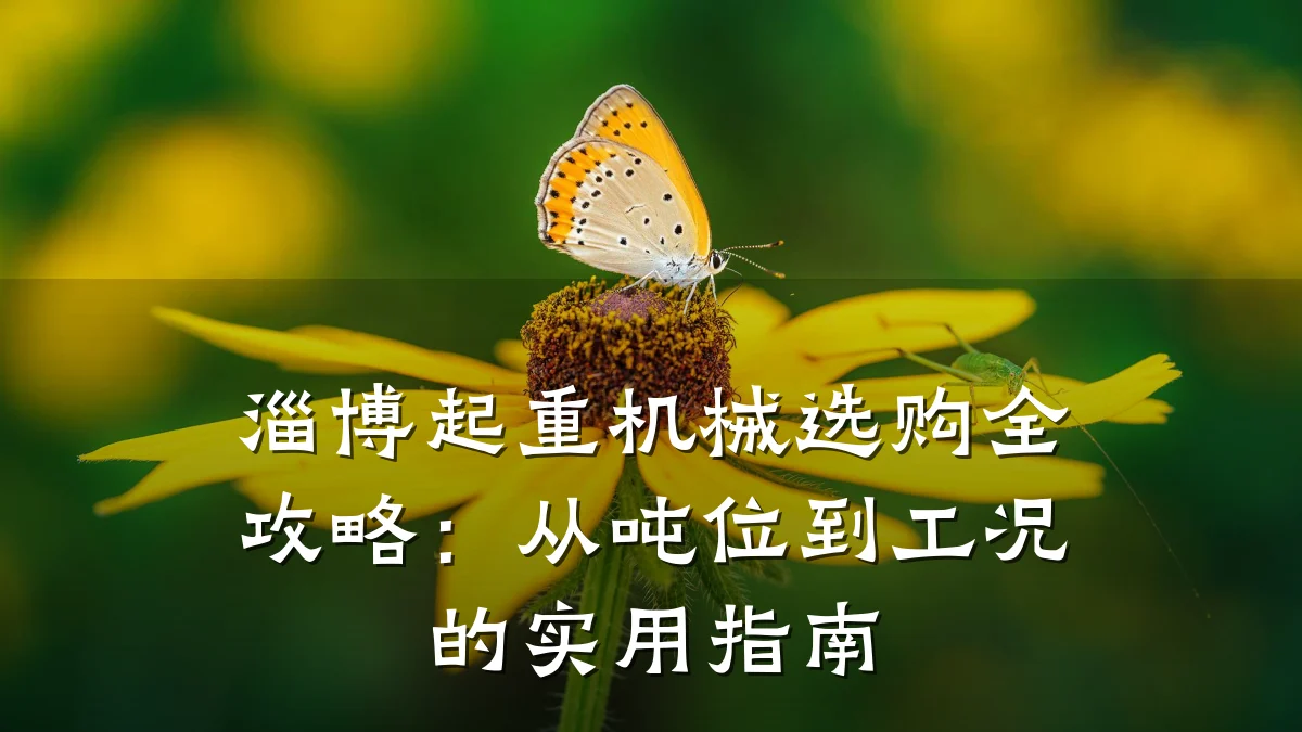 淄博起重机械选购全攻略:从吨位到工况的实用指南
