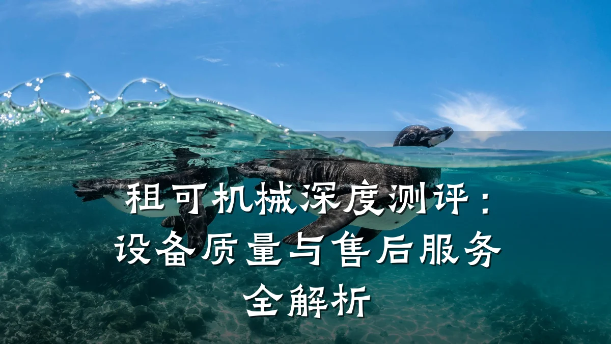 租可机械深度测评:设备质量与售后服务全解析