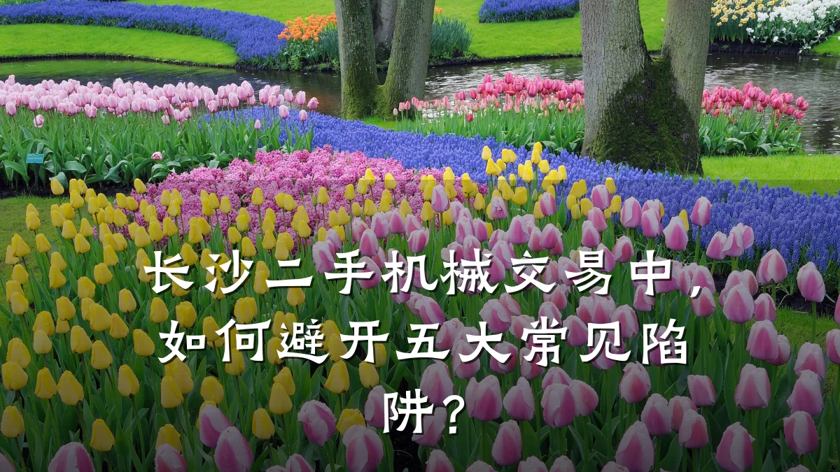 长沙二手机械交易中,如何避开五大常见陷阱?