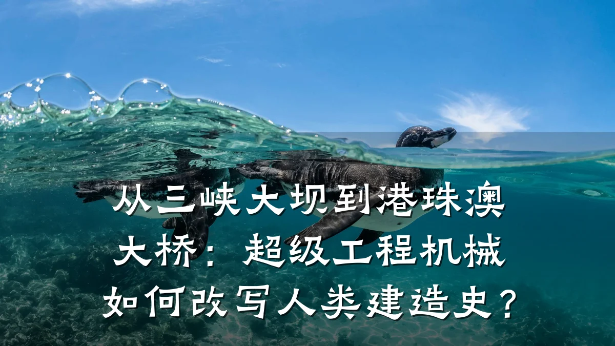从三峡大坝到港珠澳大桥:超级工程机械如何改写人类建造史?