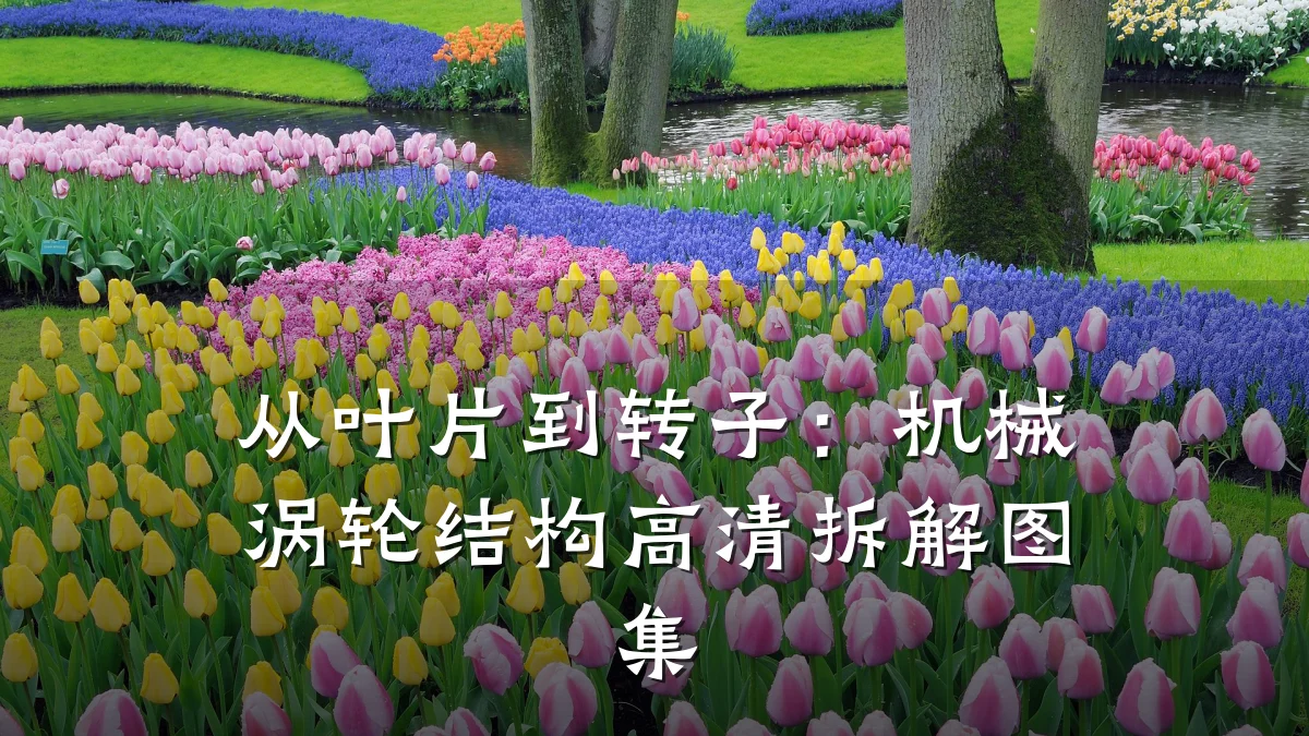 从叶片到转子:机械涡轮结构高清拆解图集