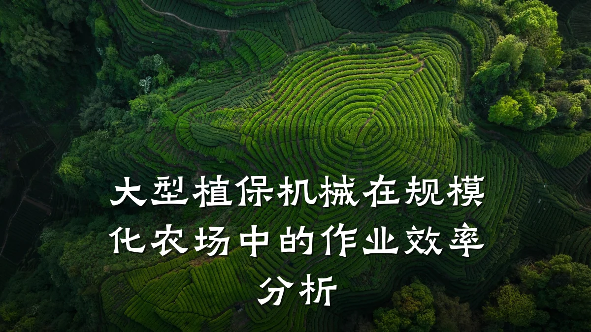 大型植保机械在规模化农场中的作业效率分析