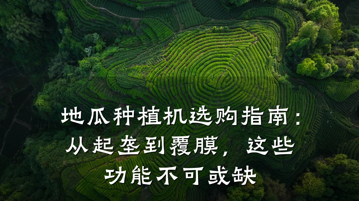 地瓜种植机选购指南:从起垄到覆膜,这些功能不可或缺