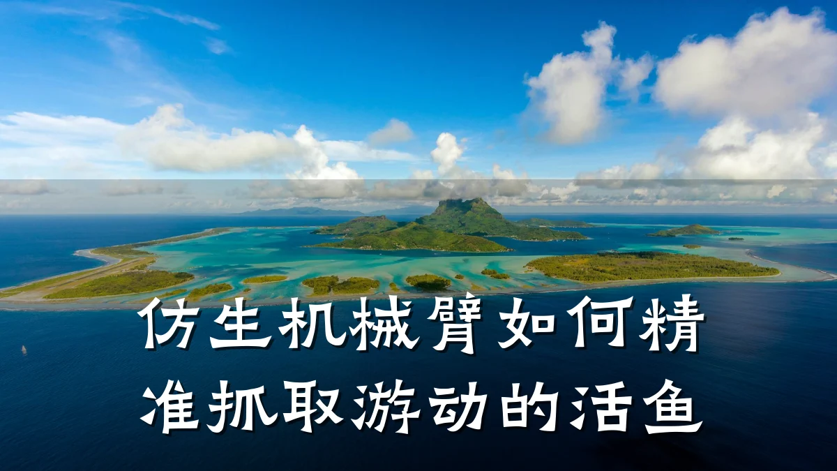 仿生机械臂如何精准抓取游动的活鱼