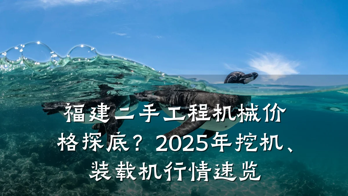 福建二手工程机械价格探底?2025年挖机、装载机行情速览