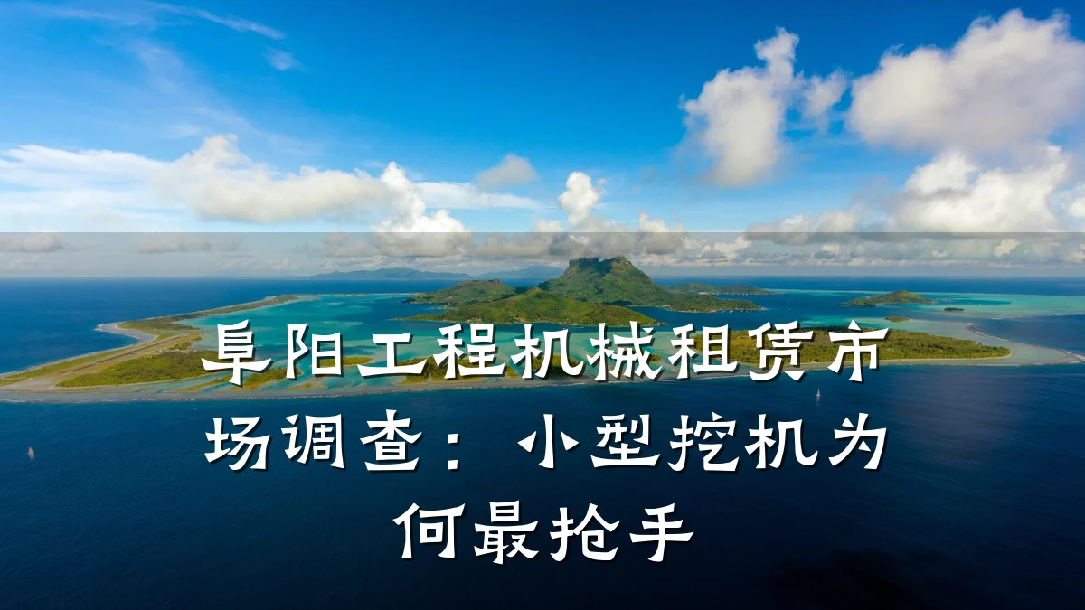 阜阳工程机械租赁市场调查：小型挖机为何最抢手