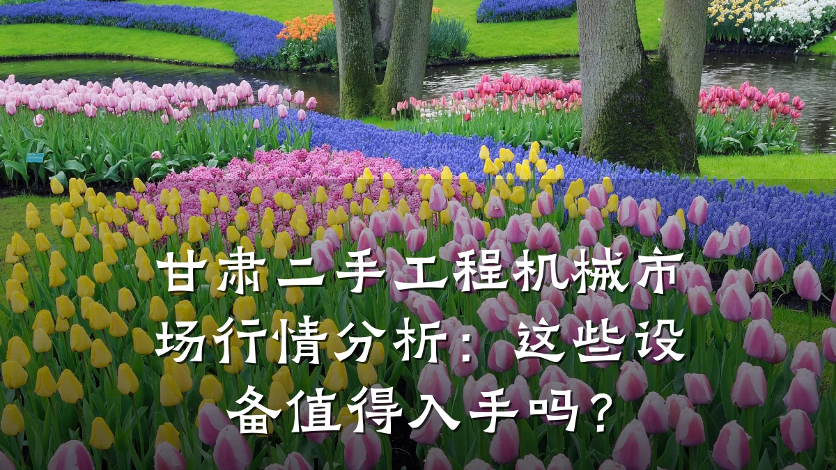甘肃二手工程机械市场行情分析:这些设备值得入手吗?