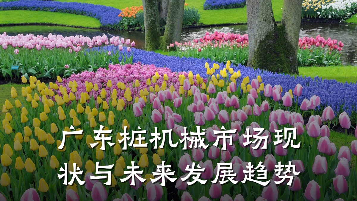 广东桩机械市场现状与未来发展趋势