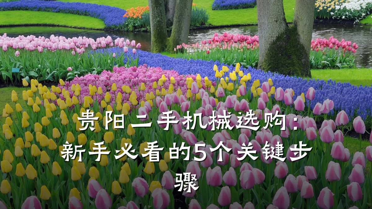 贵阳二手机械选购:新手必看的5个关键步骤